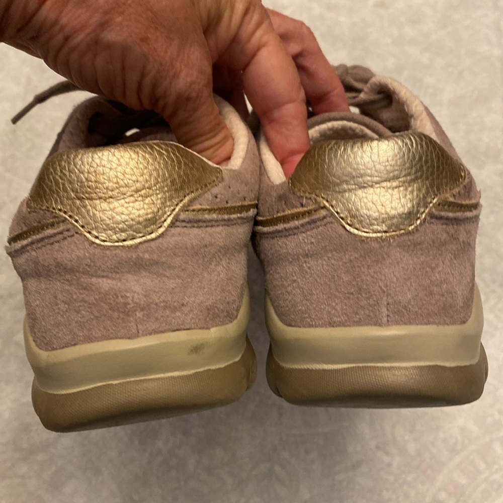 Taos 8.5 suede leather sneakers with gold trim - Picture 4 of 11